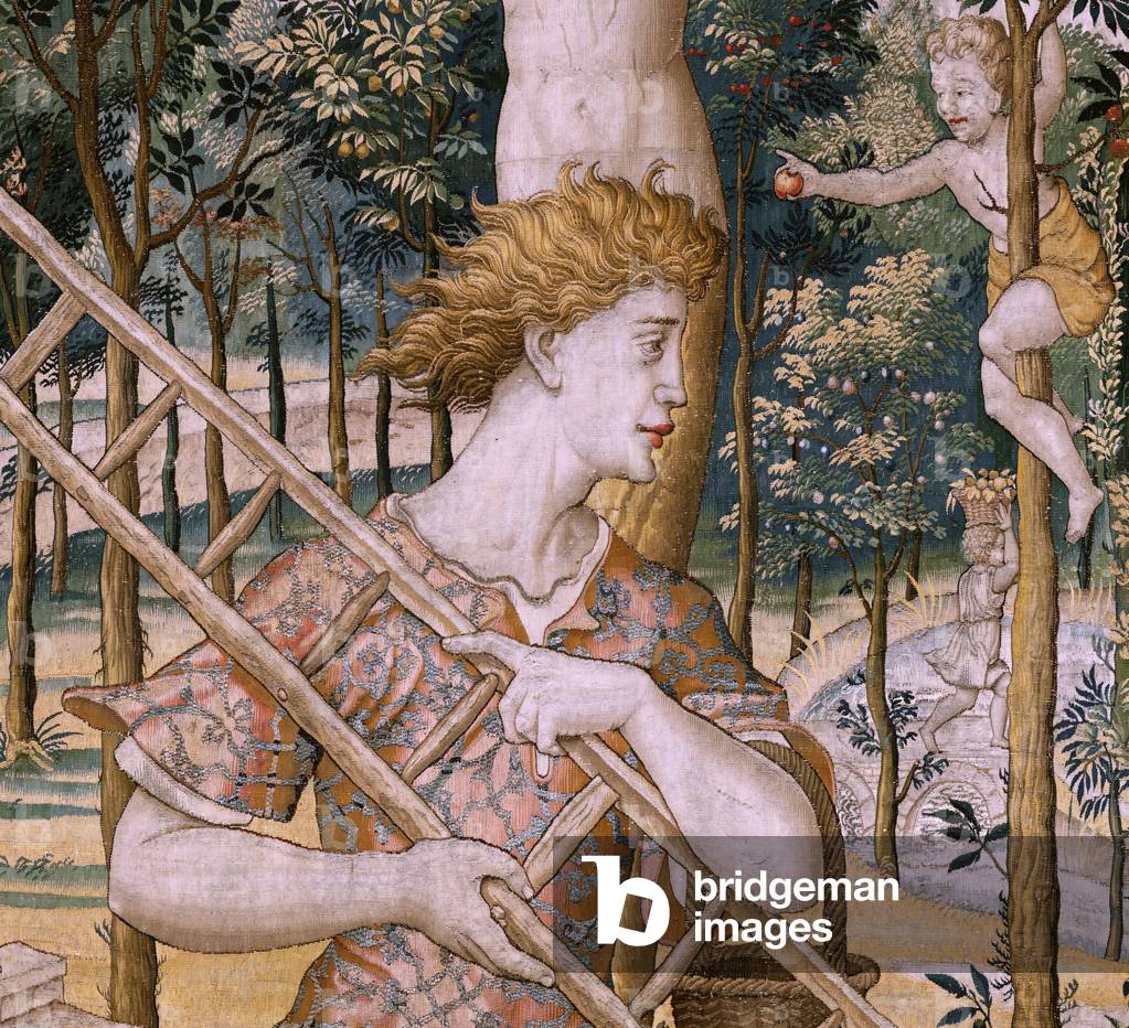 "arazzo fiammingo. Serie Vertumnus e Pomona; Vertumnus trasformato in giardiniere (Vertumno transformado en ja