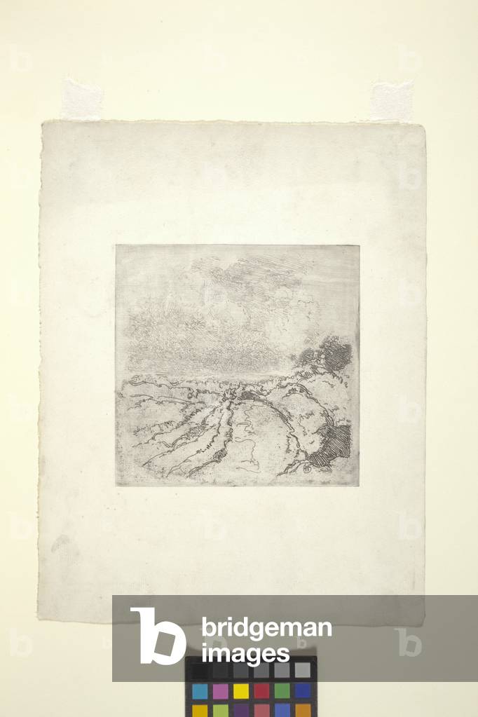 Champs de gazon (gravure)