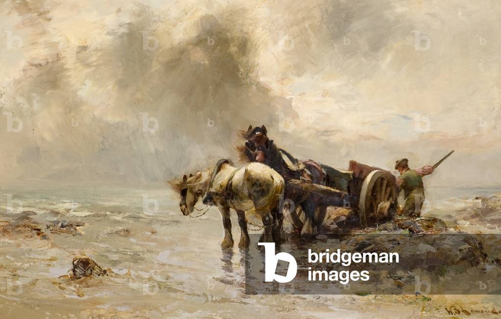 Image of Painting depicting Carting Seaweed (oil on canvas) by William Bradley Lamond