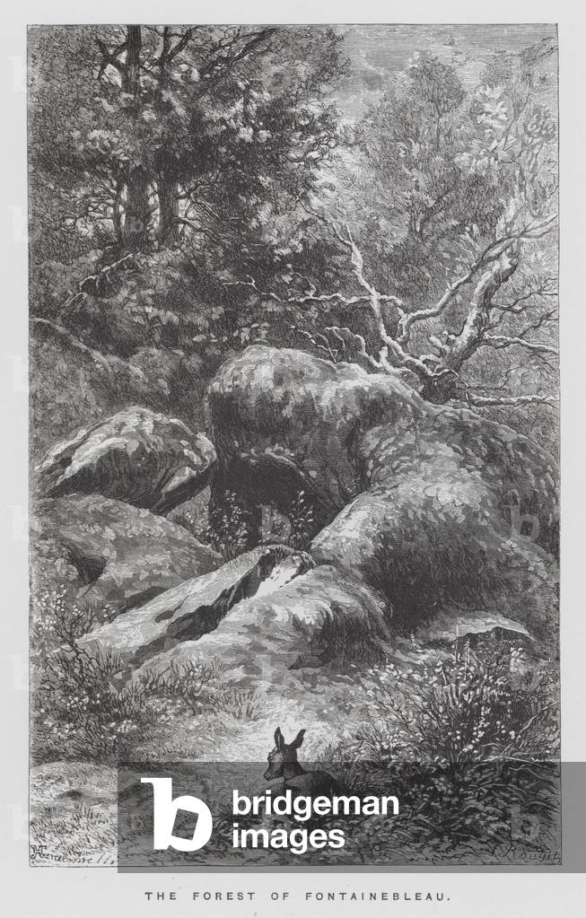 "L'insetto: La Foresta di Fontainebleau (incisione)" di Hector Giacomelli