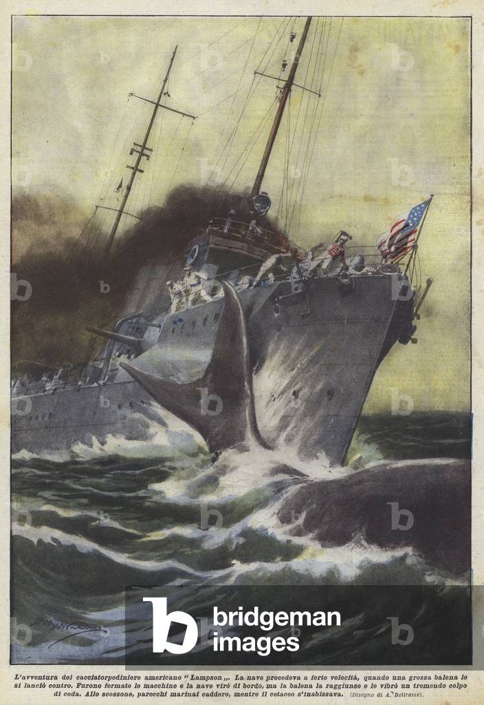 The adventure of the American destroyer Lampson (colour litho) by Achille Beltrame