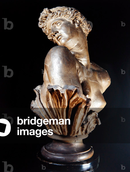 Clytie, 1868 (plaster)