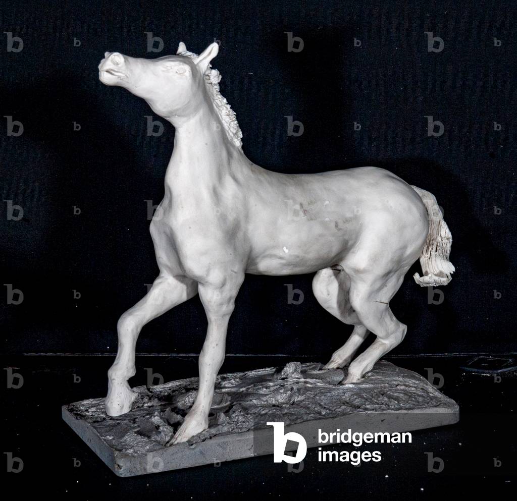 "Weißer Hengst" 1998 von Vincent Alexander Booth