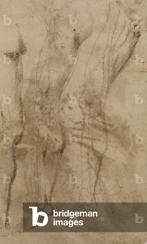 Tre studi di una gamba maschile, c.1637 (penna, inchiostro bruno e lavaggio bruno su tracce di gesso nero su c