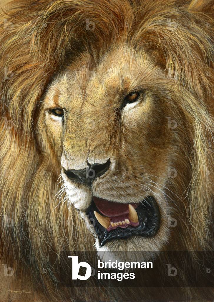 Bild von Gemälde "Lion" 2014 von Jeremy Paul