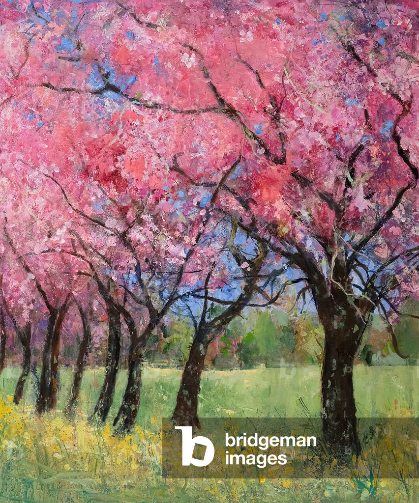 Fiore di ciliegio nel prato, 2022 (acrilico)