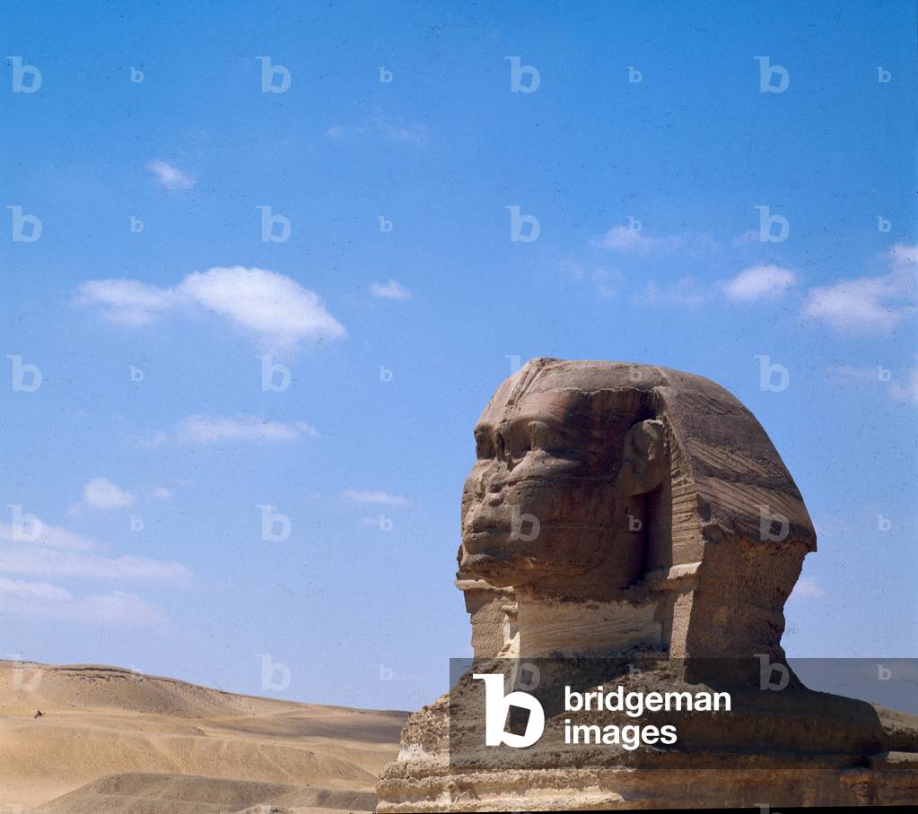 Image of Egyptian art : Detail - Sphinx, Giza IV Dynasty by Egyptian ...