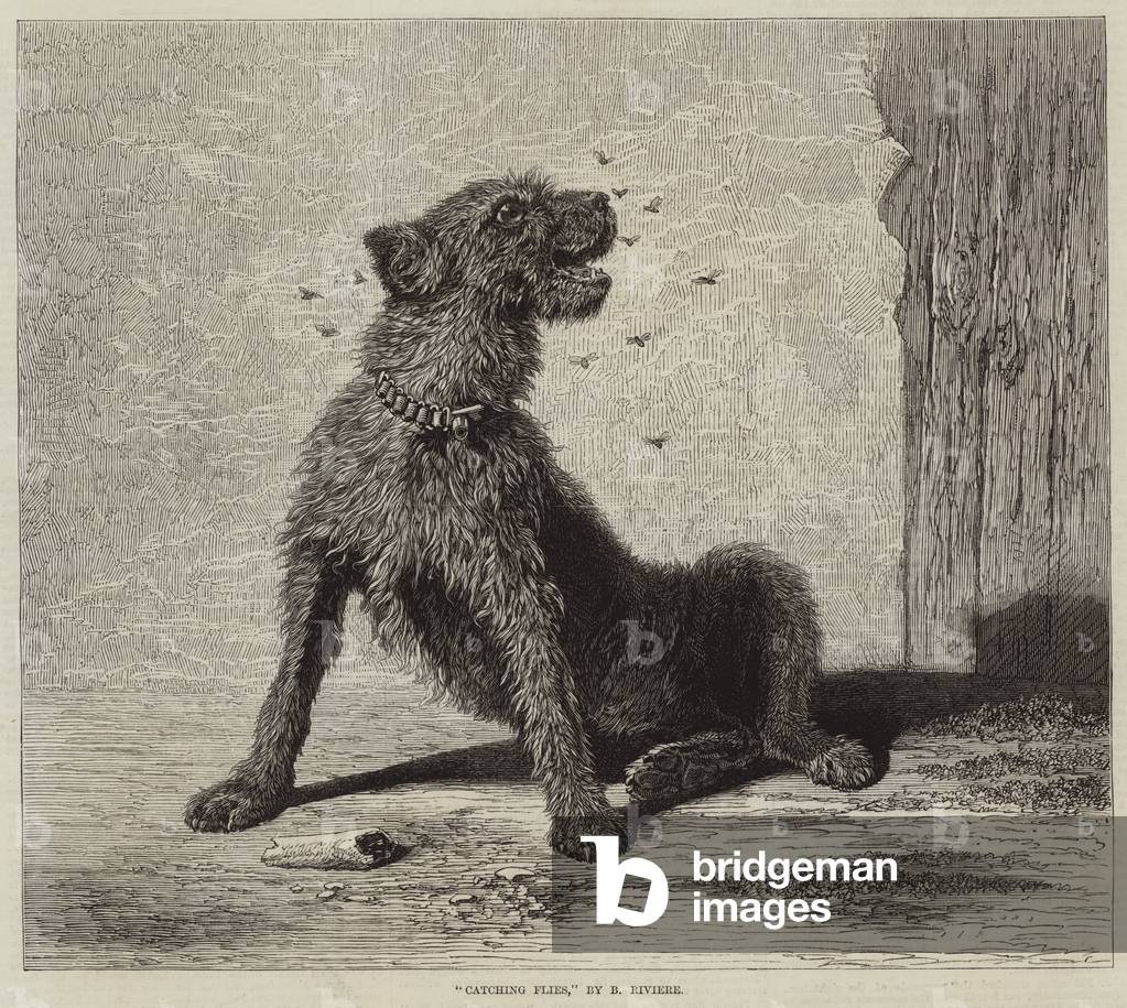 "Catching Mosche (incisione)" di Briton Riviere, b/w