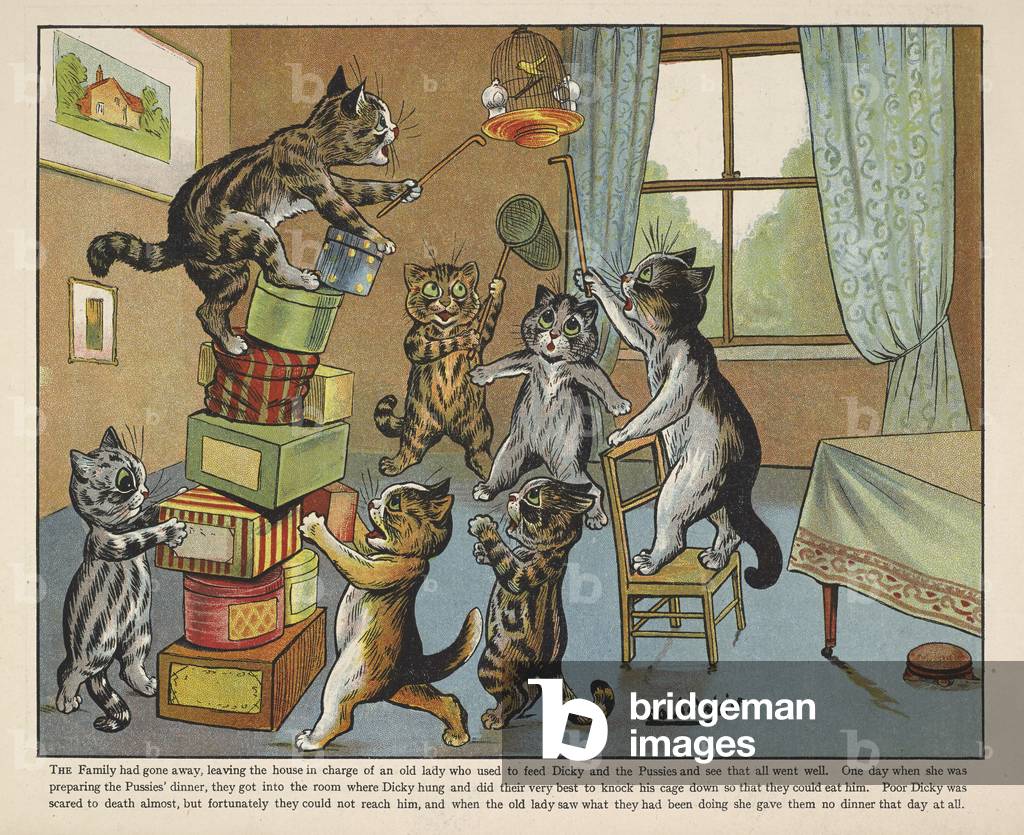 Gatti che giocano con le scatole in una stanza.