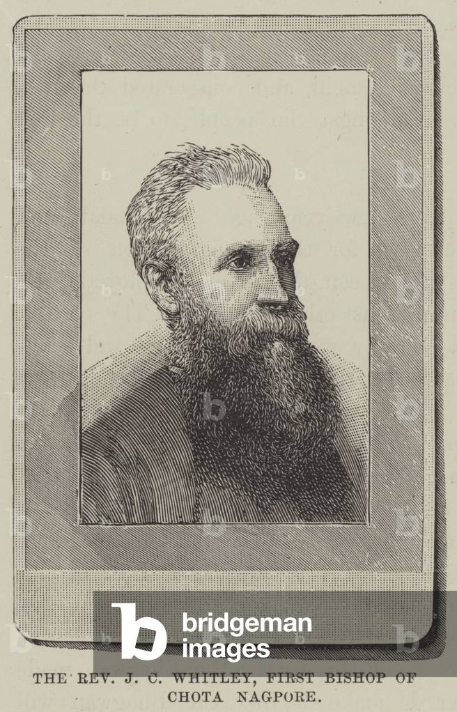The Reverend J C Whitley by English Artist