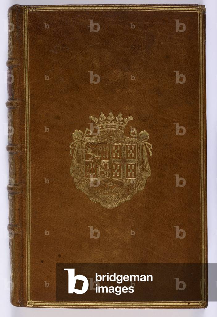 Immagine di Libro "histoire des Juifs"