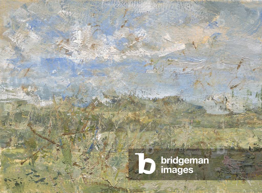 Campi vicino a Hay-on-Wye, 2018 (olio su tavola)