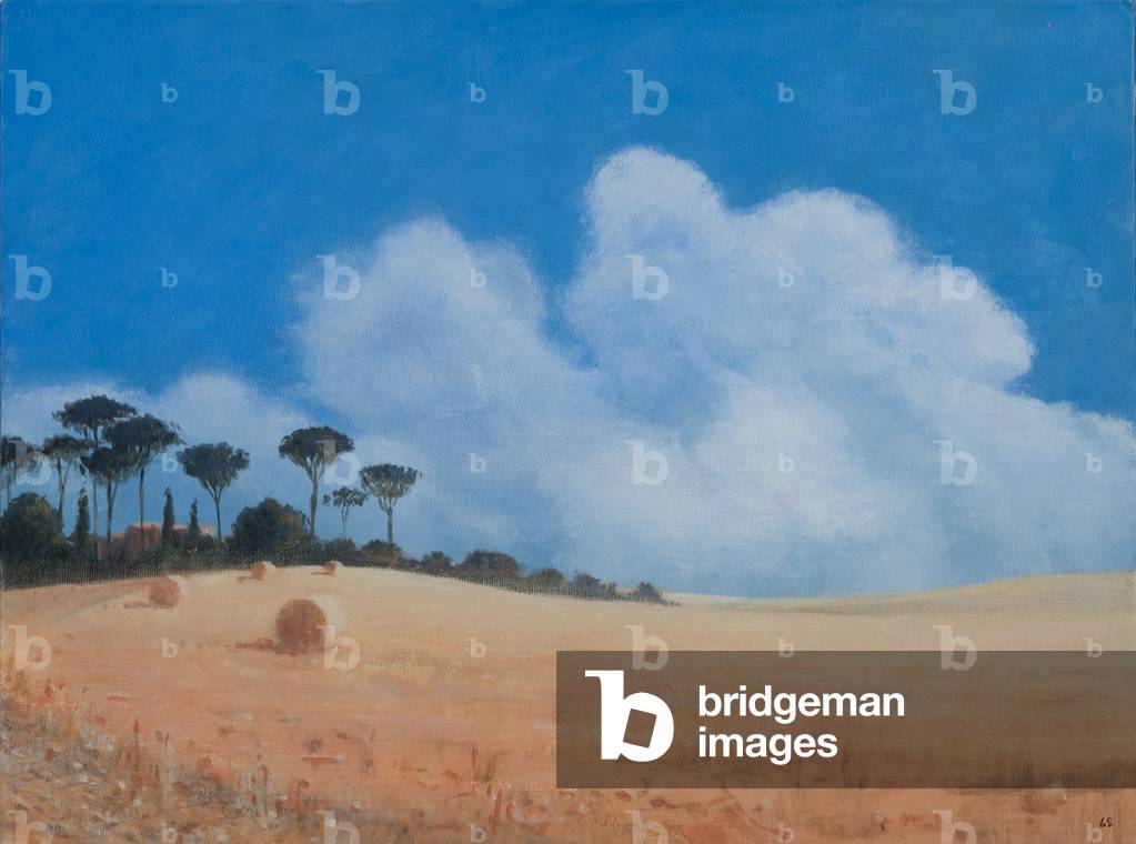 Landschaft bei Paganico, 2012 (Acryl auf Leinwand)