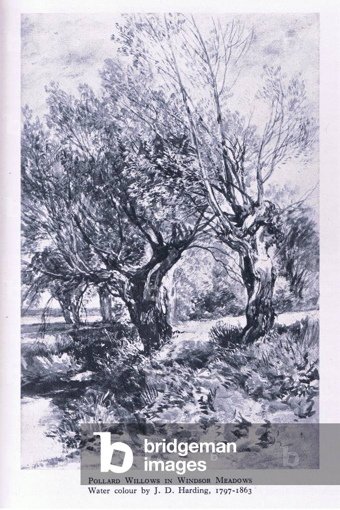 Image of Print depicting Woodcutters on the outskirts of Windsor Forest by John Linnell