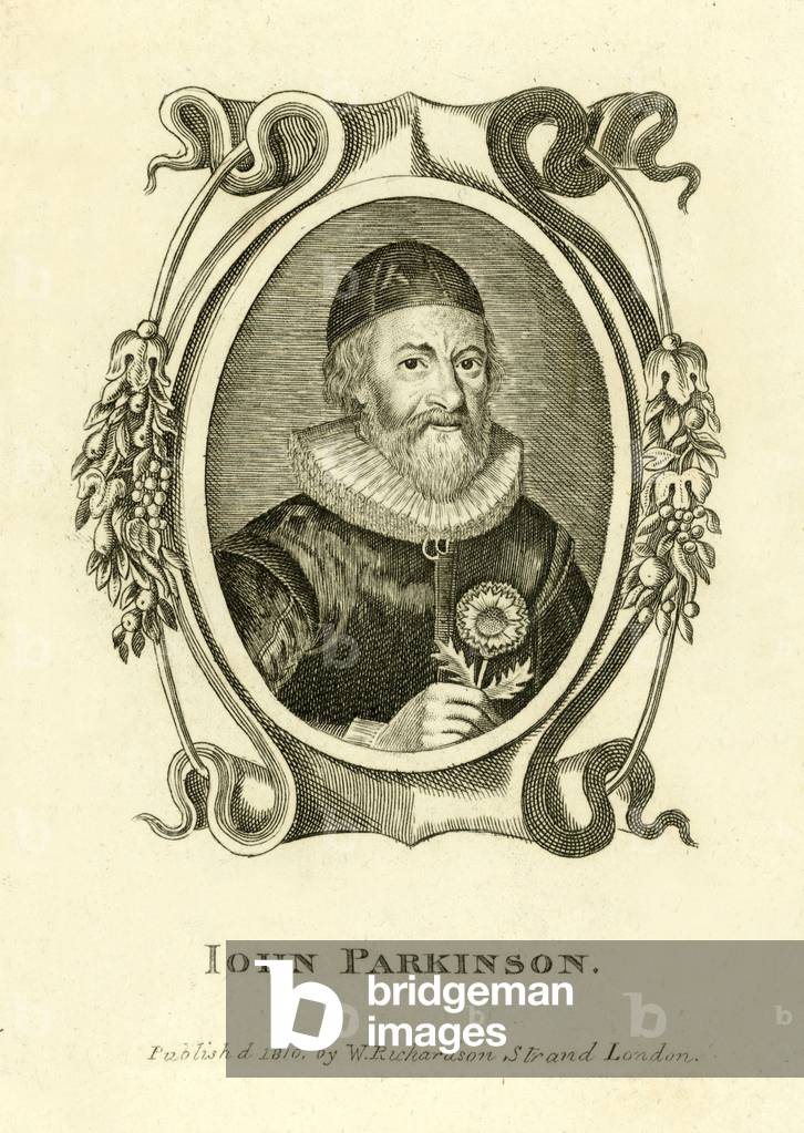 "John Parkinson (incisione)" di English School, b/w