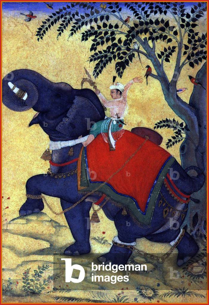 India: Il terzo imperatore Mogol Akbar (r. 1556-1605) in sella a un elefante, 1609-10