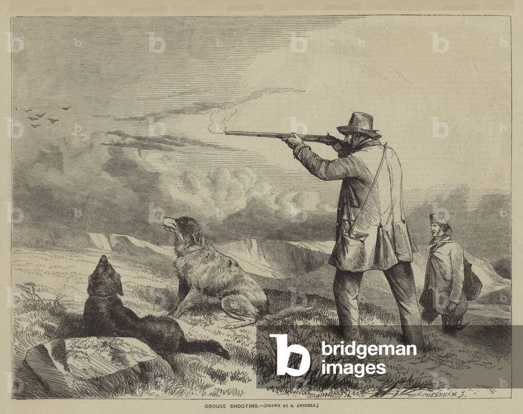 "Grouse Shooting (Gravur)" von Richard Ansdell, b/w