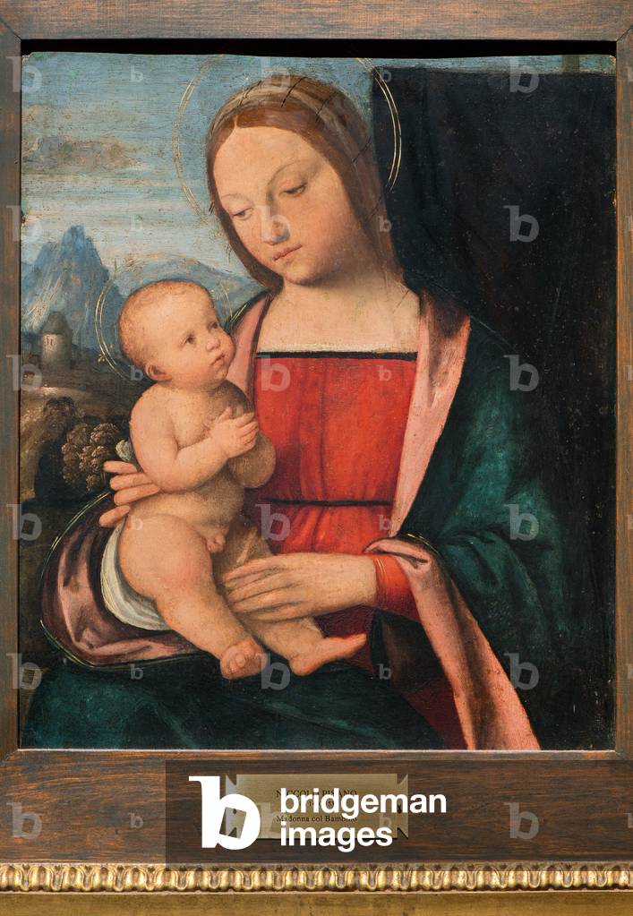 Madonna mit Kind, 1510-1520 (Öl auf Tafel)