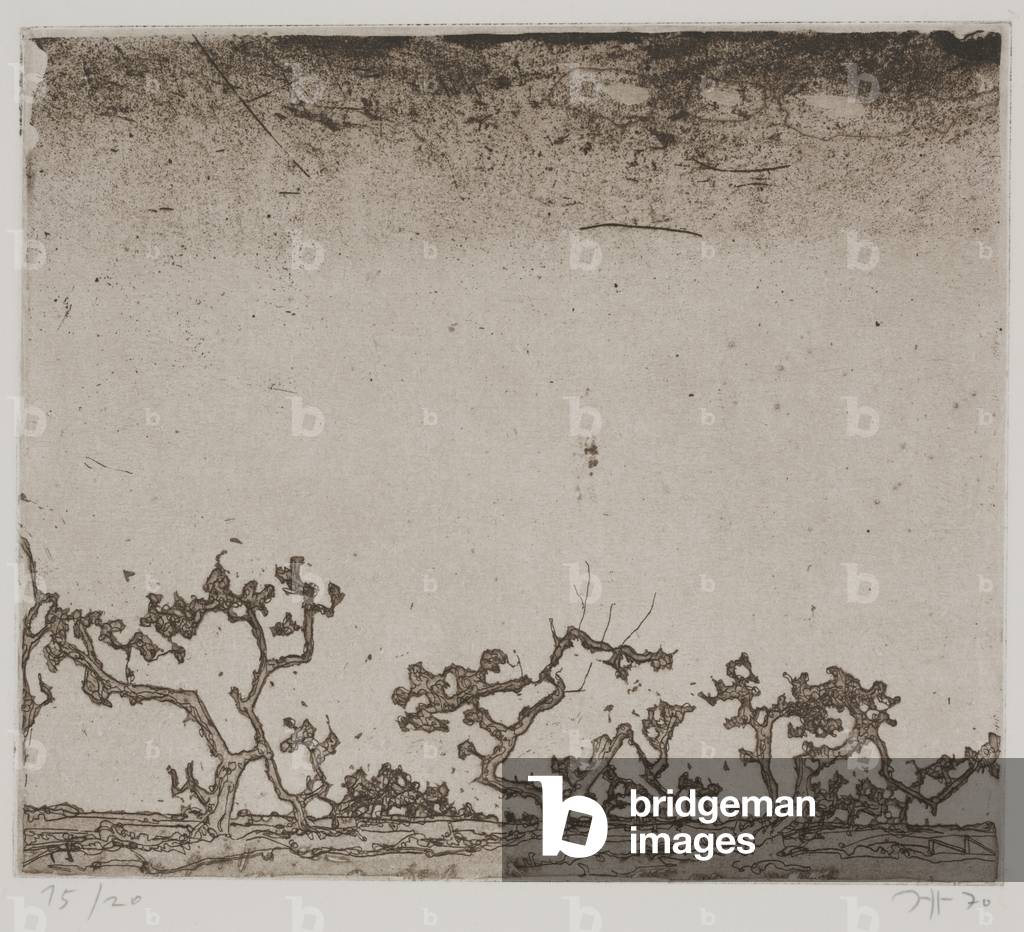Landschaften, o Paesaggi, 1970 (incisione)