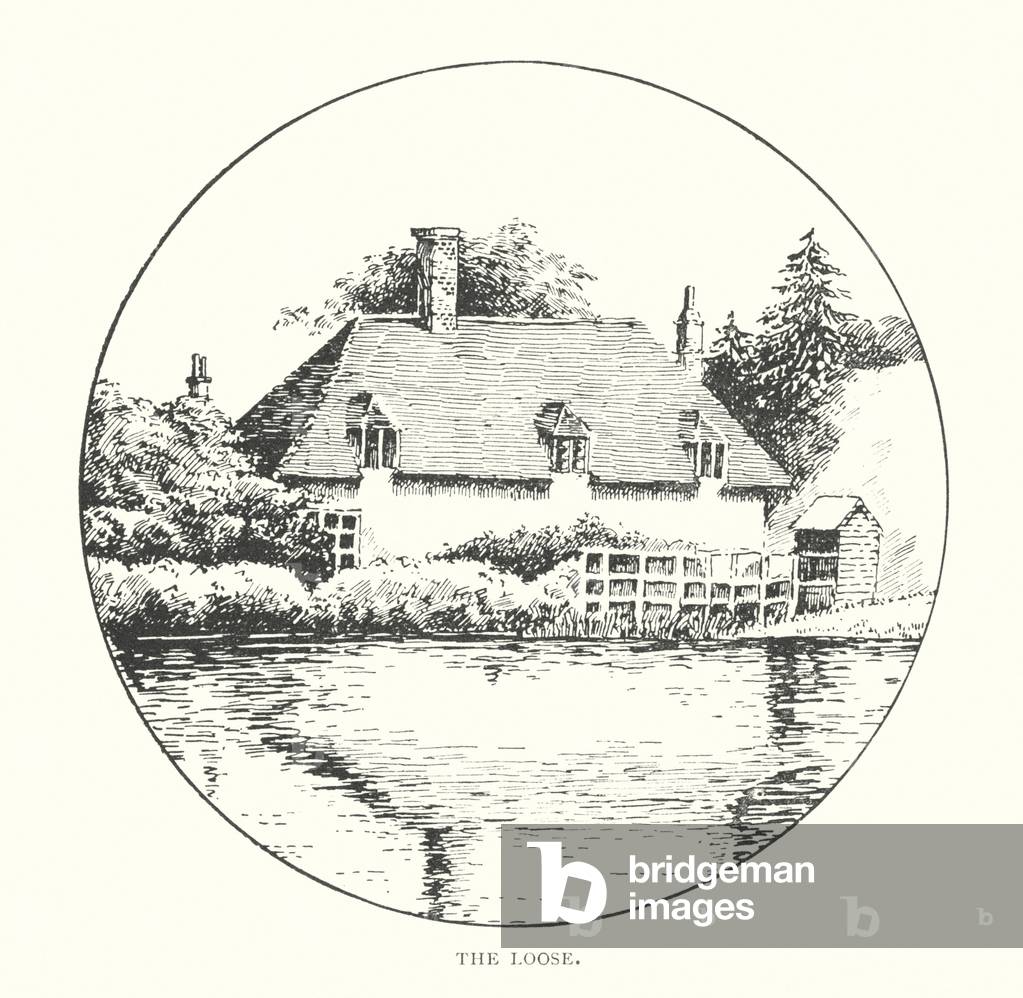 Image of Print depicting The Loose (litho) 1901 by Duncan Moul