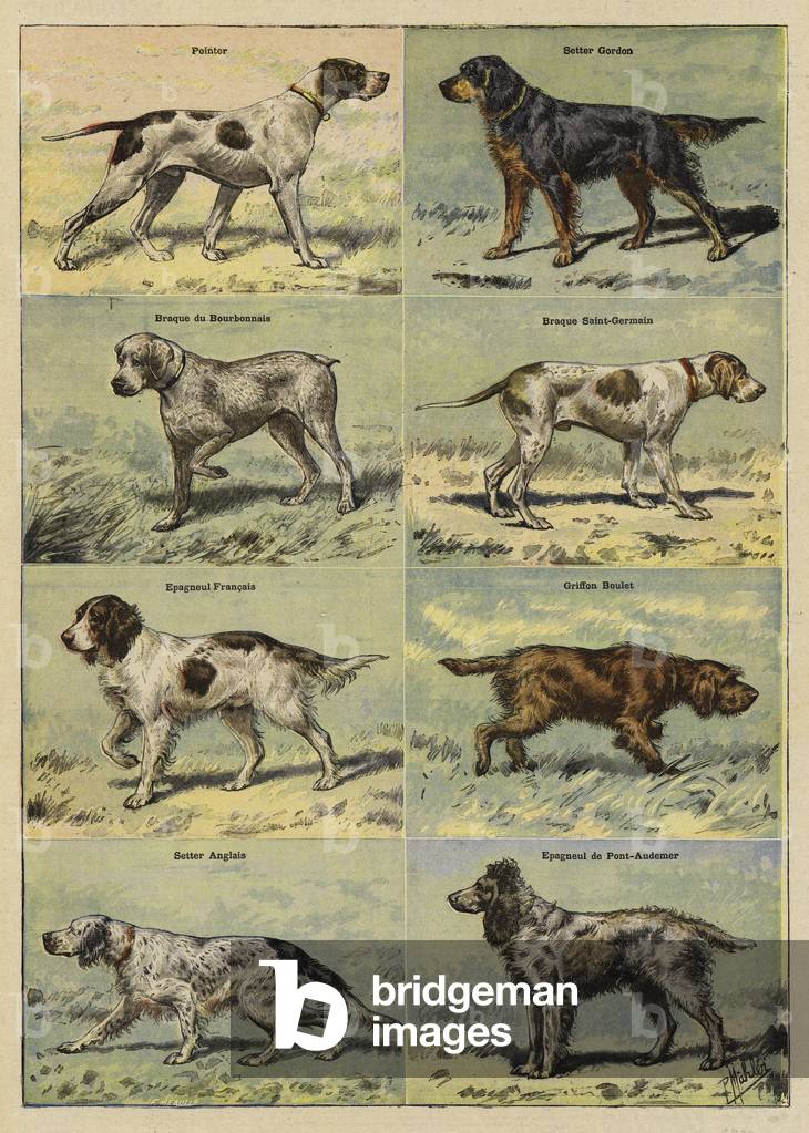 "Cani da pistola (colore lito)" 1801 di French School