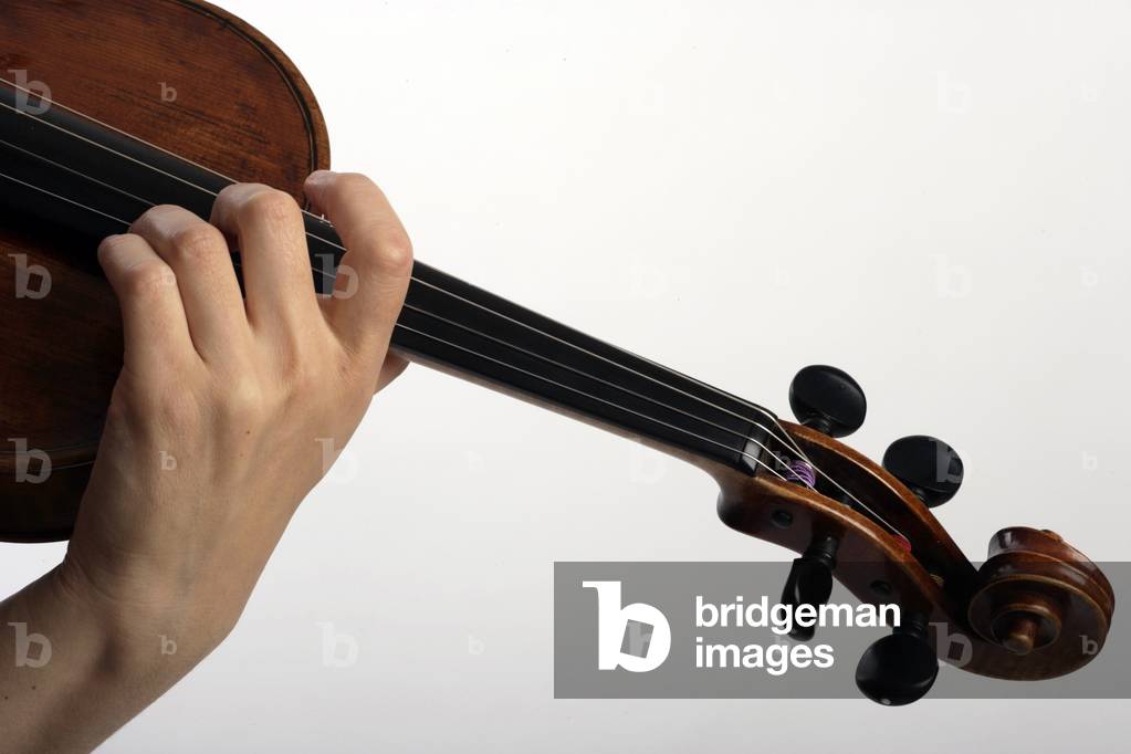 Bild von Fotografie "Viola - generische Nahaufnahme" von Chris Stock, b/w