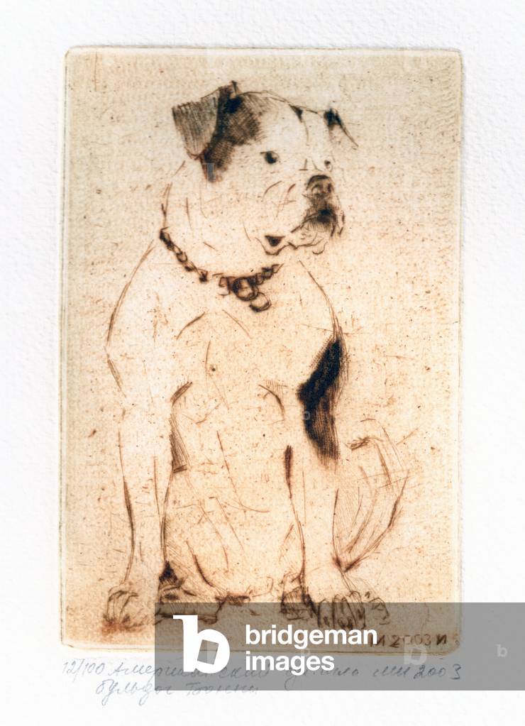 Image of Engraving depicting American Bulldog, 2003 by Irina Makoveeva