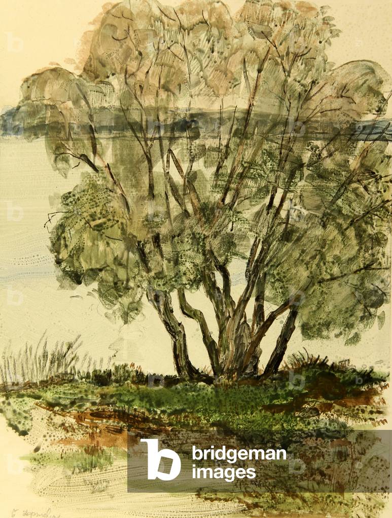 Bild von Zeichnung "Baum an der Oka" 1972 von Nina Shirokova