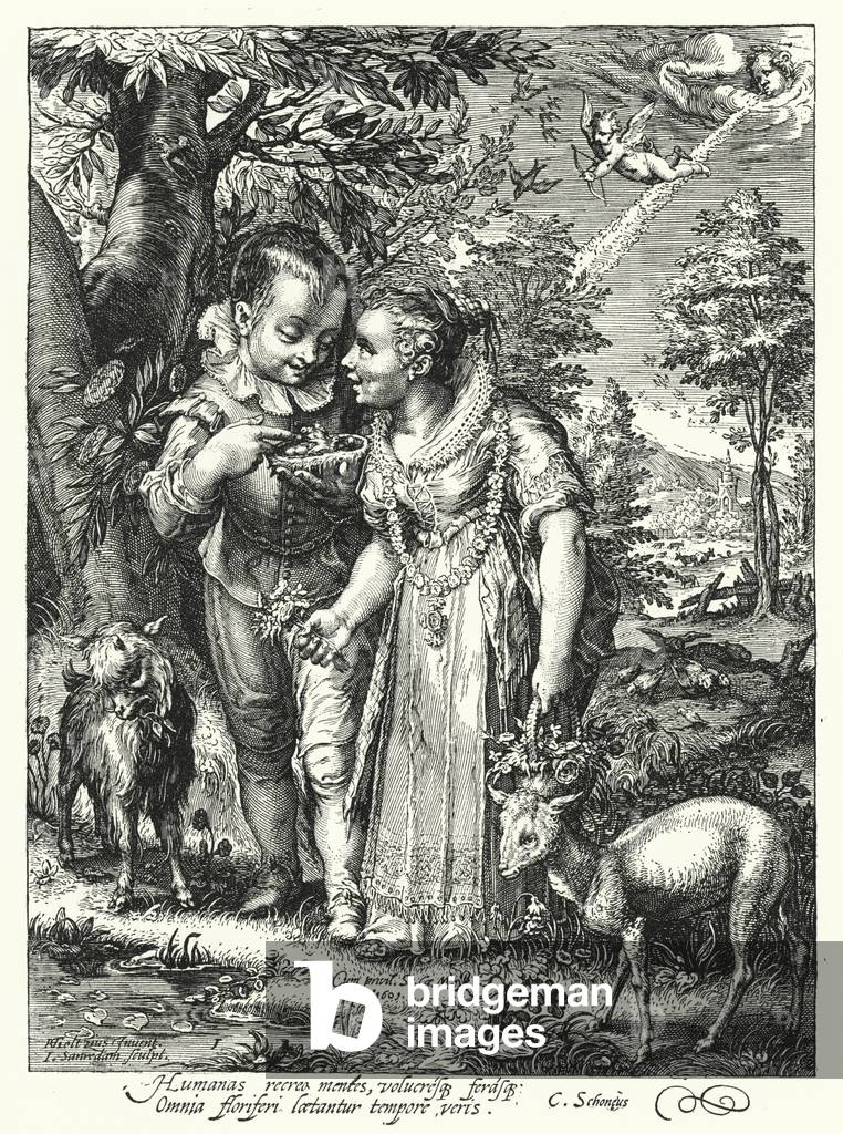 Bild von Gravur "Feder (Gravur)" von Hendrik Goltzius, b/w