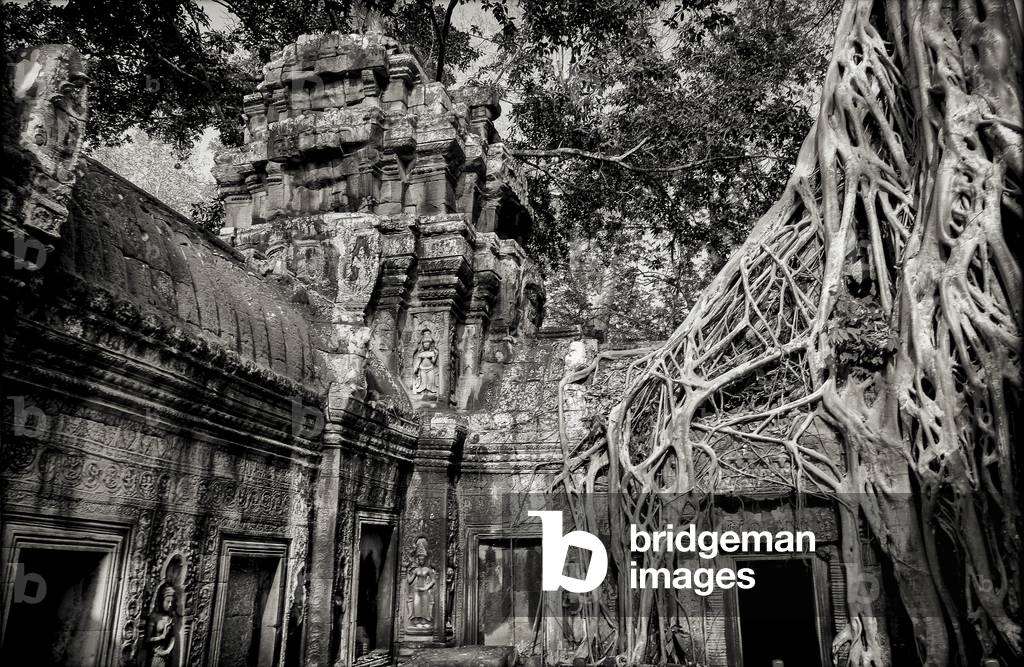 Tempio di Ta Prohm, Angkor, Cambogia (foto in b/n)