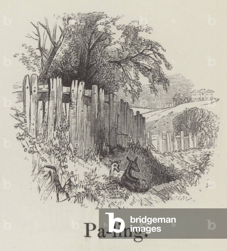 Paling (gravure) par English School