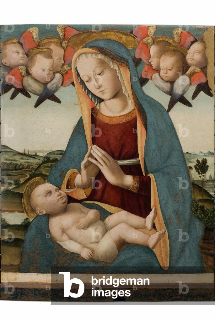 Image of Madonna and Child Jesus, c.1500-16 (tempera & oil on board) by ...