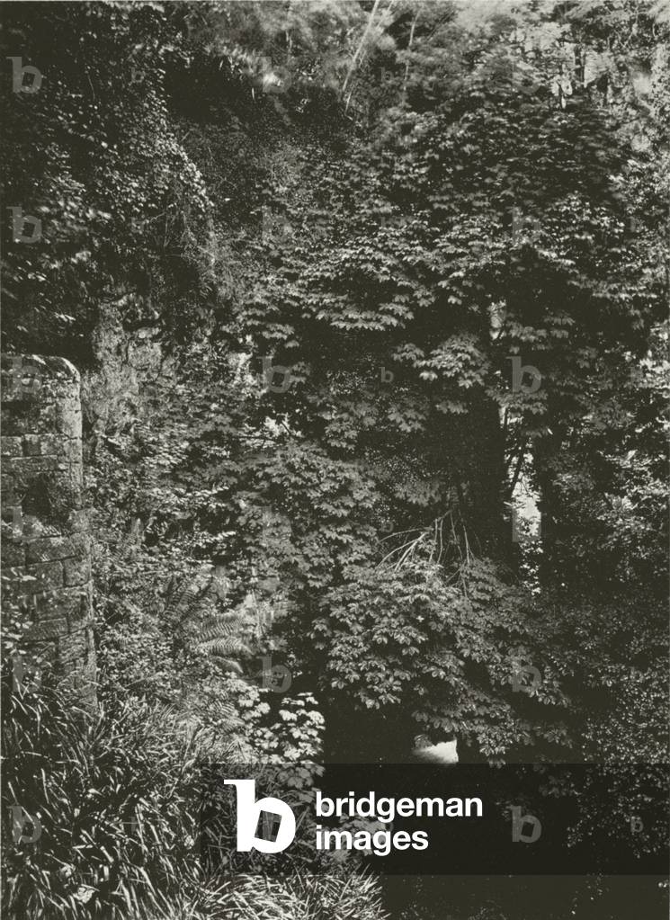Den of Finella (b/w photo)