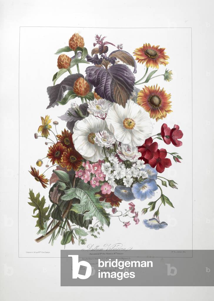 A bouquet of flowers