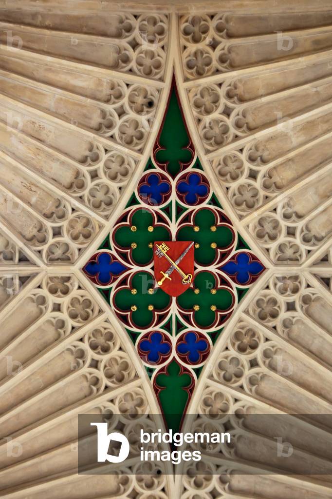 "Soffitto a volta a ventola con stemma", 2010