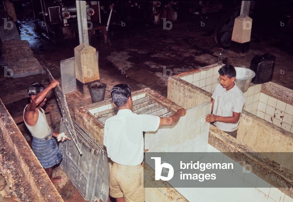 Image of Coagulation tank, rubber factory, Colombo, Sri Lanka, 1972 (photo)