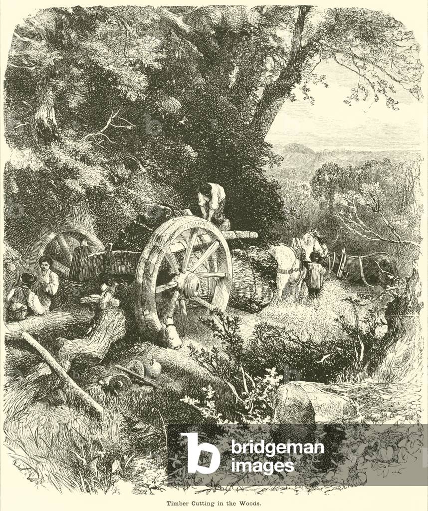 "Taglio di legname nel bosco (incisione)" di English School, b/w