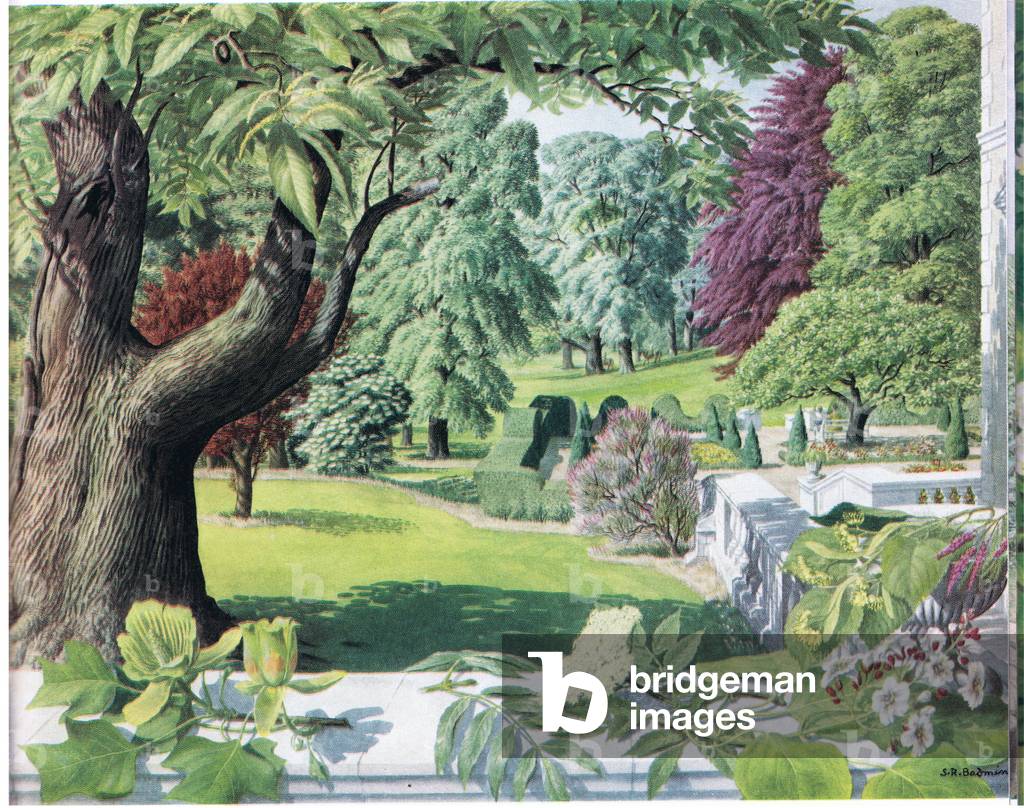 July (colour litho)