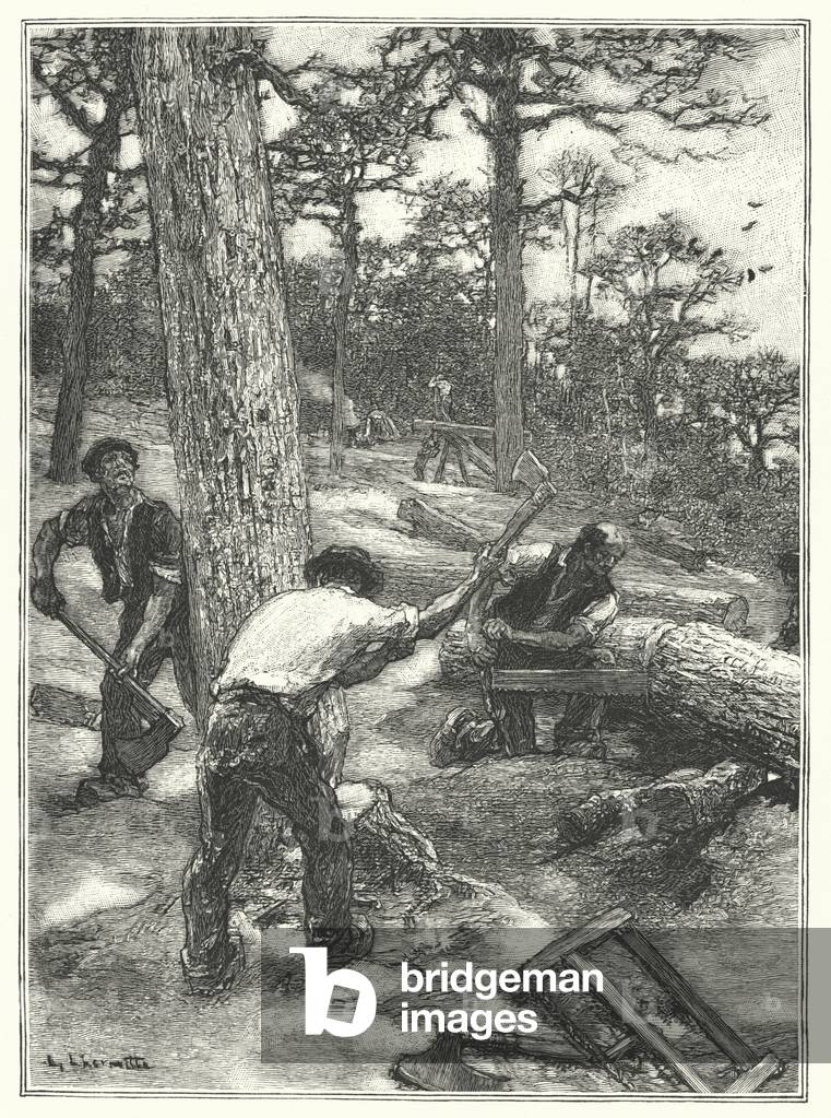 La Coupe Des Bois (gravure) 1801 par French School