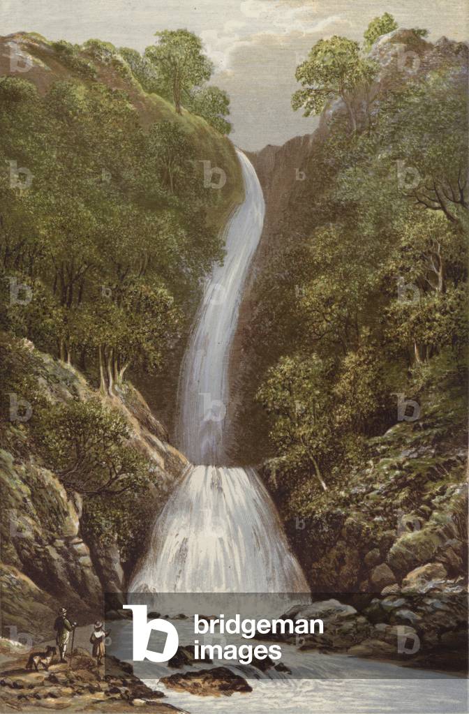 Forza di scala (colore lito)