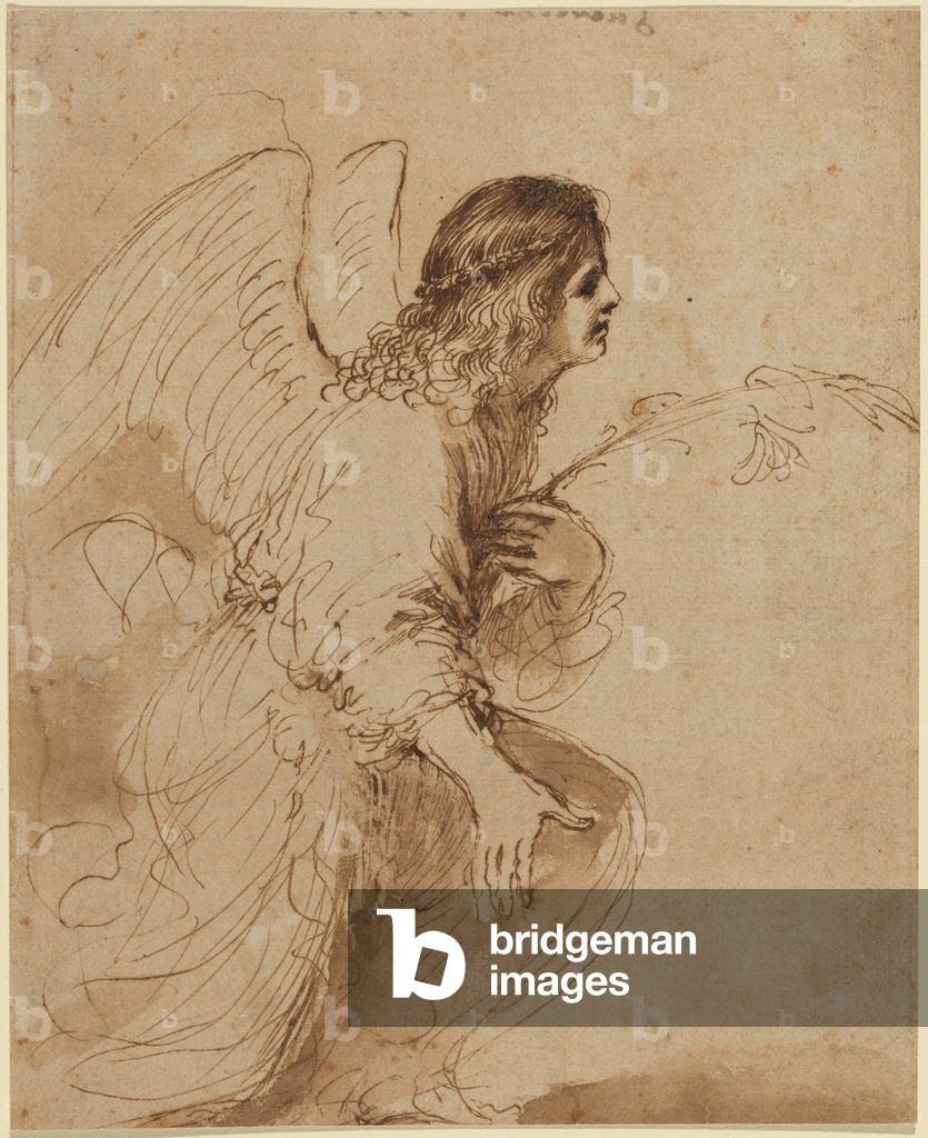 Bild von Zeichnung "Der Engel der Verkündigung" 1638 von Guercino