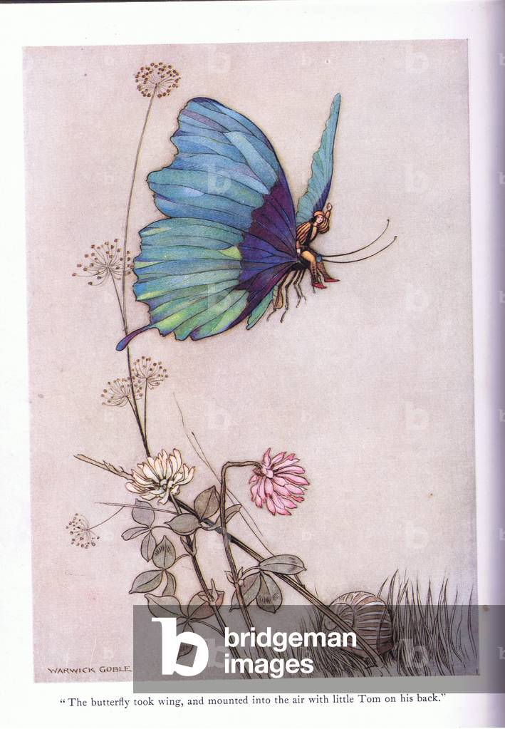 Image de Estampe représentant Le papillon a pris l'aile par Warwick Goble