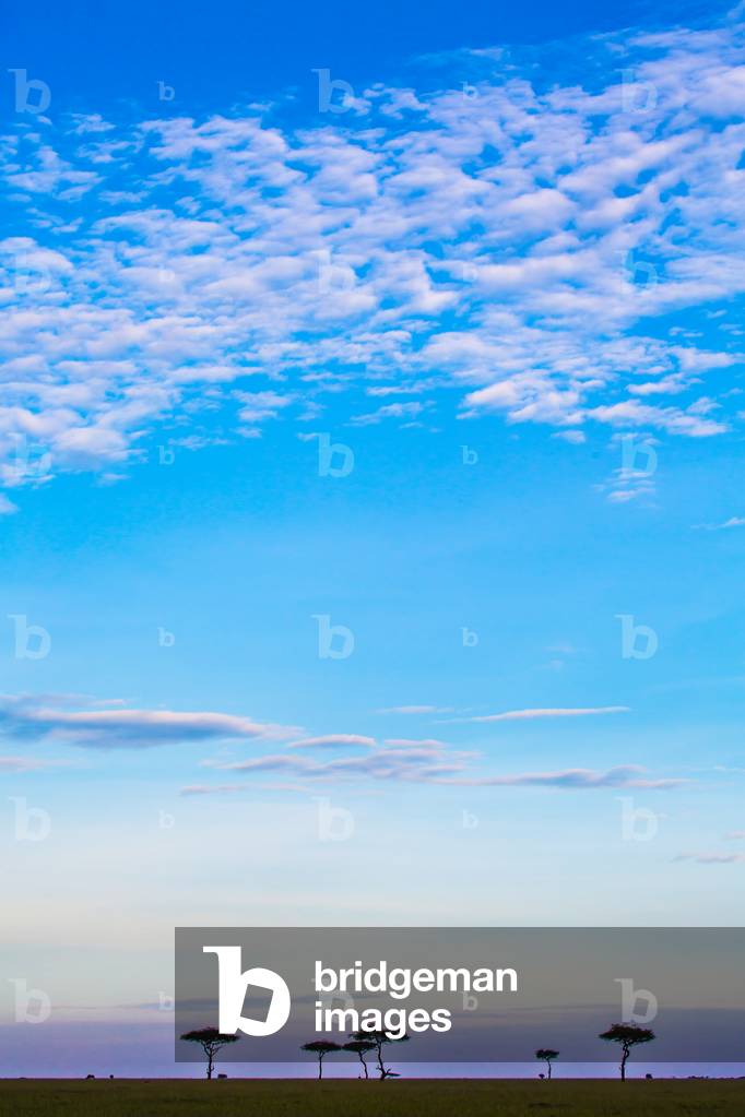 Landscape, Masai Mara wildlife reserve, Kenya, Africa September 2018 (photo)