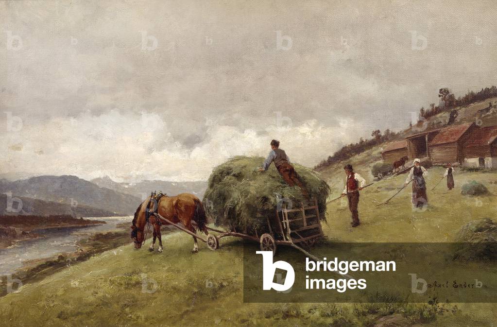 Guidare fieno (olio su tela)