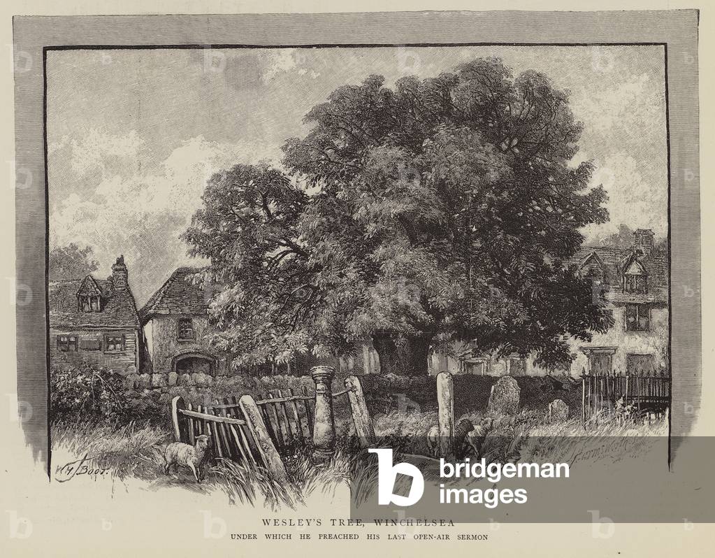 Wesley's Tree, Winchelsea, East Sussex (incisione)