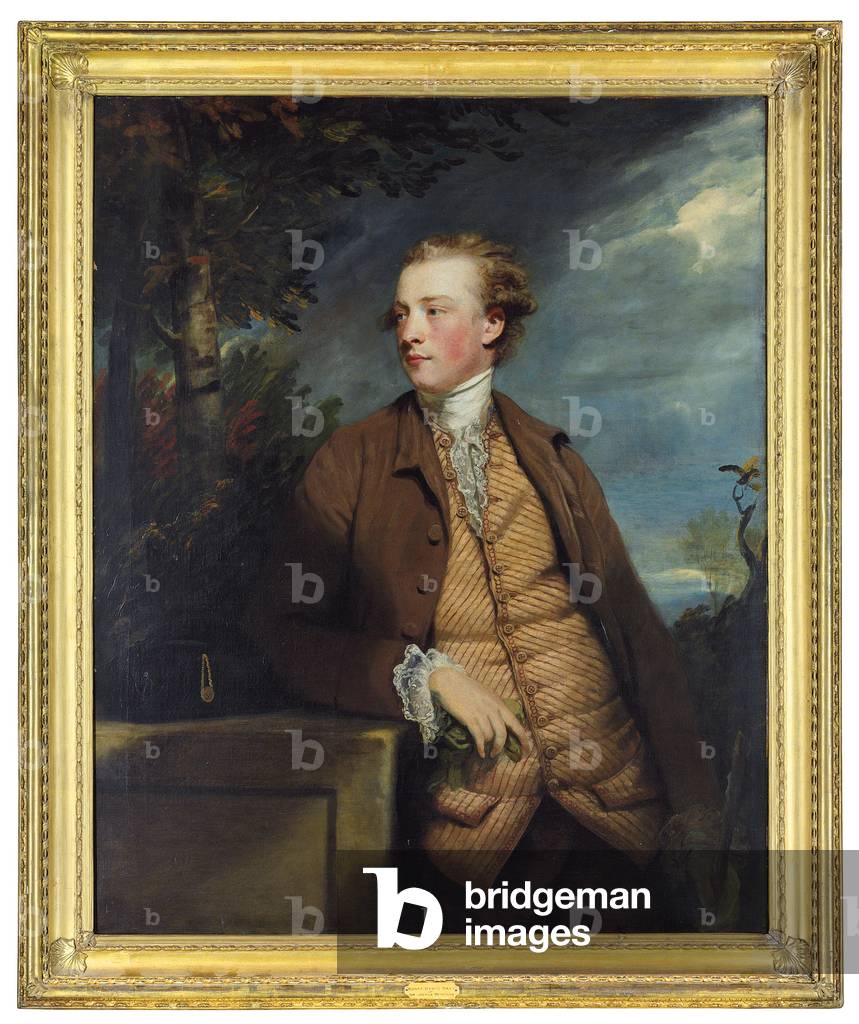 Image of Painting depicting Portrait of Denis Daly (oil on canvas) by Joshua Reynolds