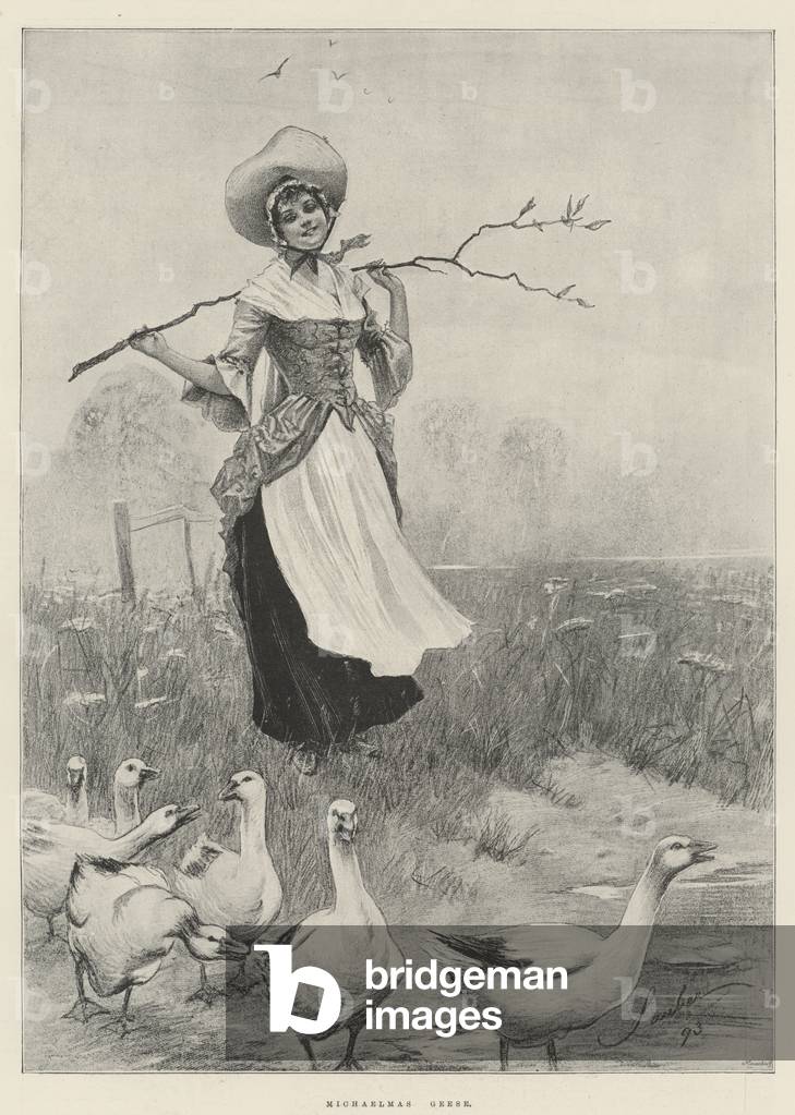 Oies de Michaelmas (litho)