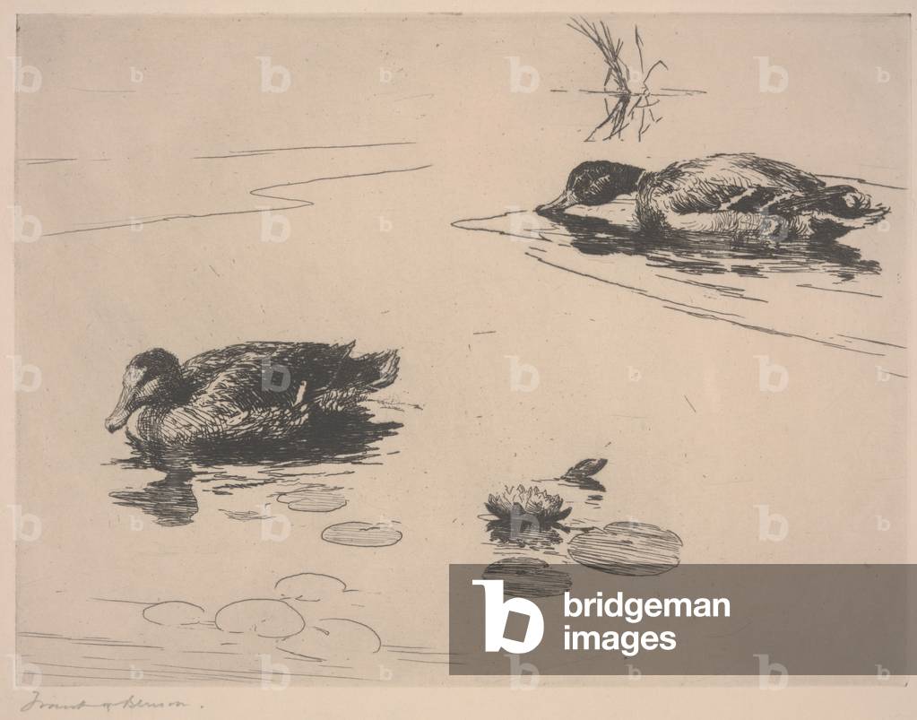 Ohne Titel (Ducks) (Radierung)