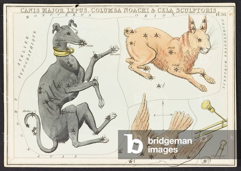"Mappe C.44.A.42 Canis Major Lepus" 1834 di English School