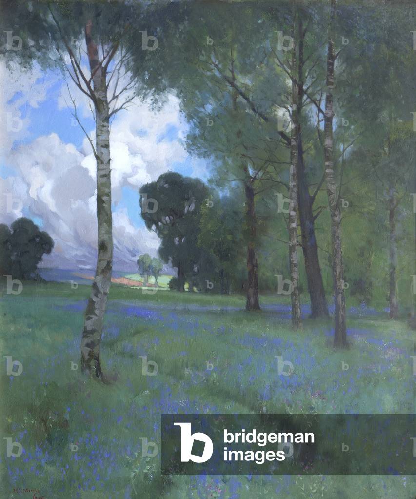 Paesaggio con campanule (olio su tela)